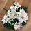 Thumbnail: Flat back poinsettia bunch - cream