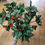 Thumbnail: Large bunch of plain leaf holly