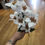 Thumbnail: Small head poinsettia bunch - 2 colours available 