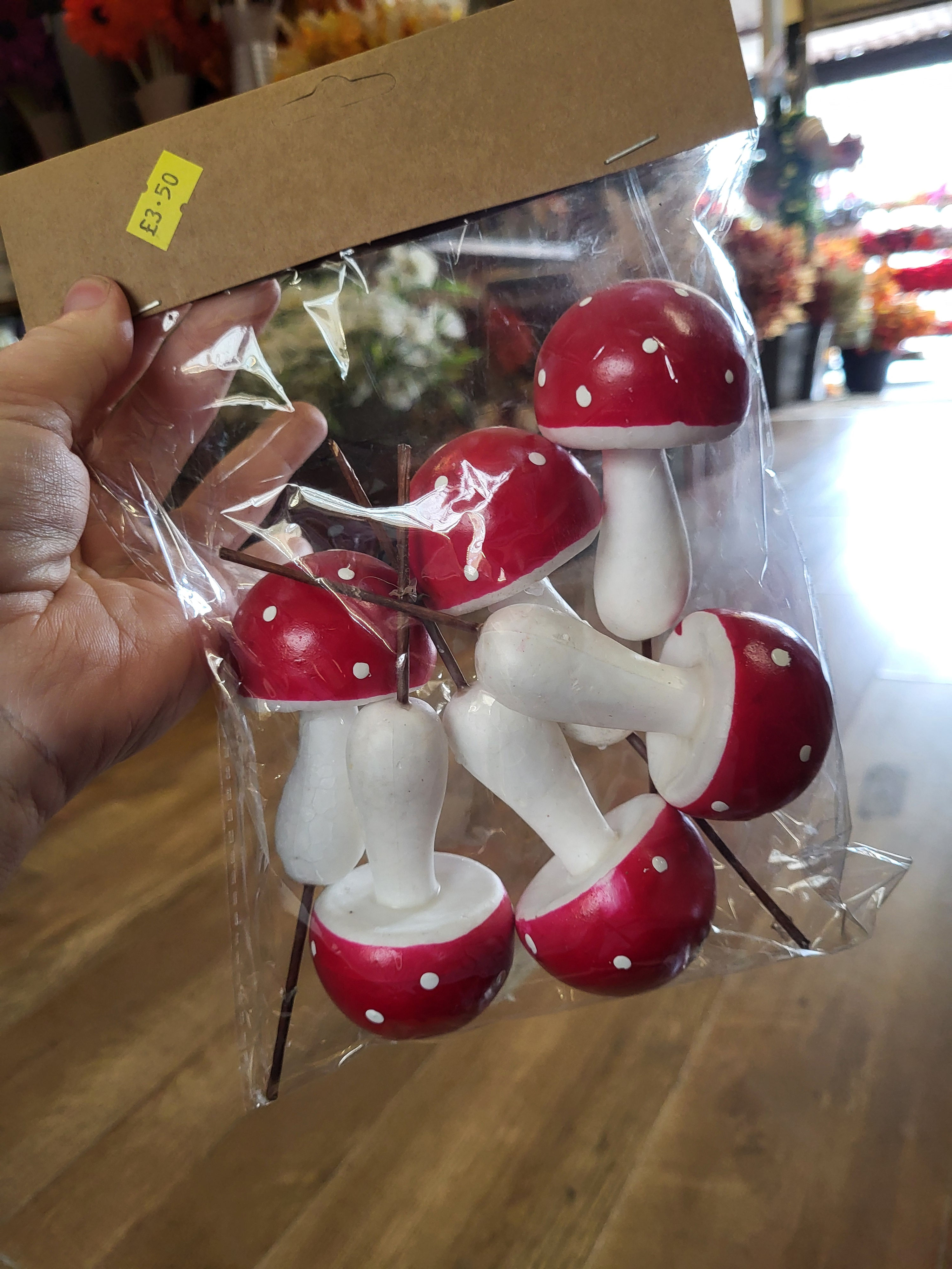 Pack of 6 red and white Toadstools
