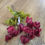 Thumbnail: Chinese Lantern bush - 4 colours available 