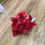 Thumbnail: Plain poinsettia bunch - 2 colours available 