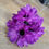 Thumbnail: Gerbera bunch - 4 colours available 