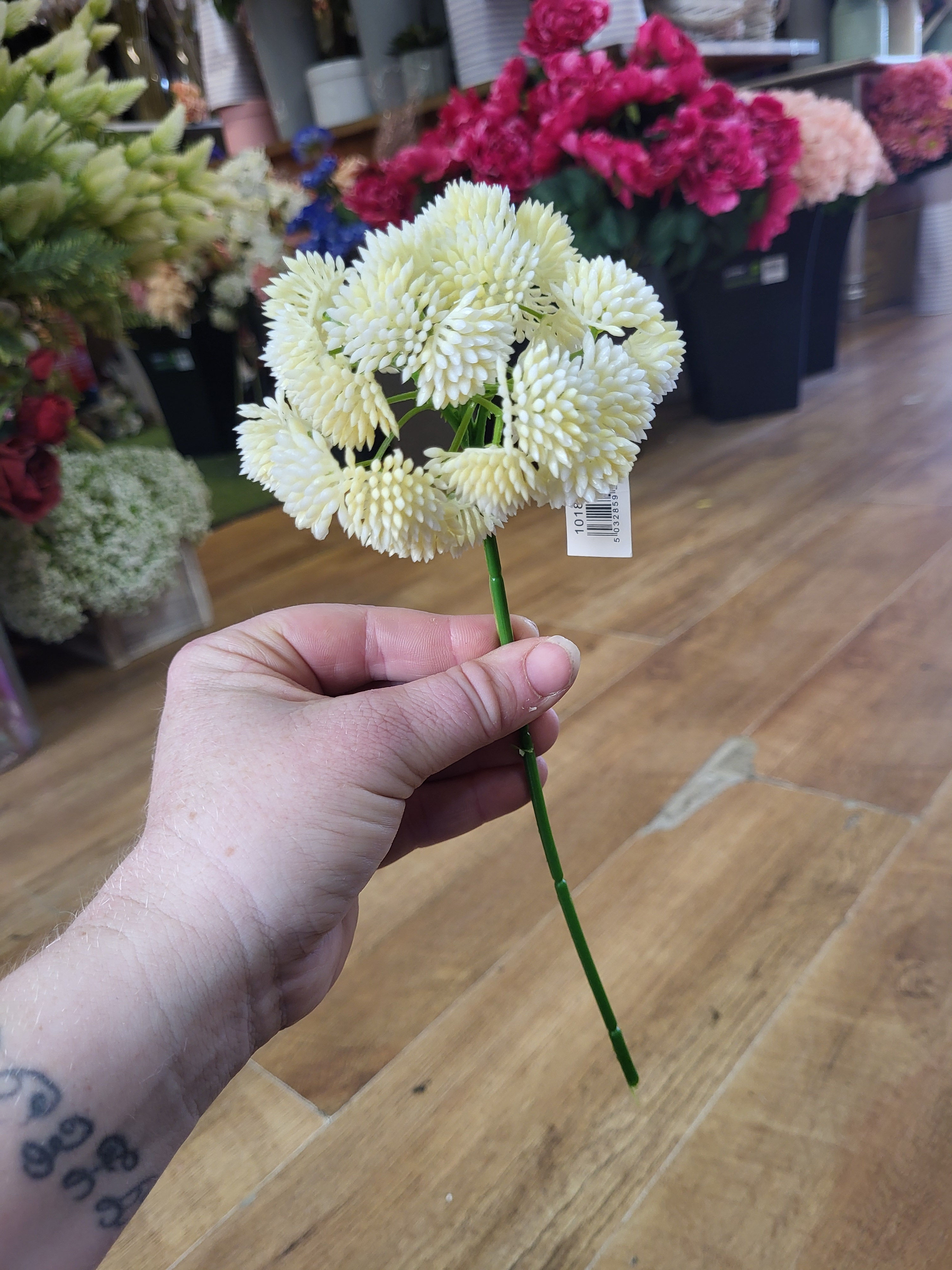 Short cream Sedum Stem