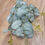 Thumbnail: Long stem eucalyptus  - 3 shades available 