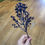 Thumbnail: Dark blue felicity bud pick 