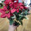 Thumbnail: Red poinsettia and frosted cone bunch 