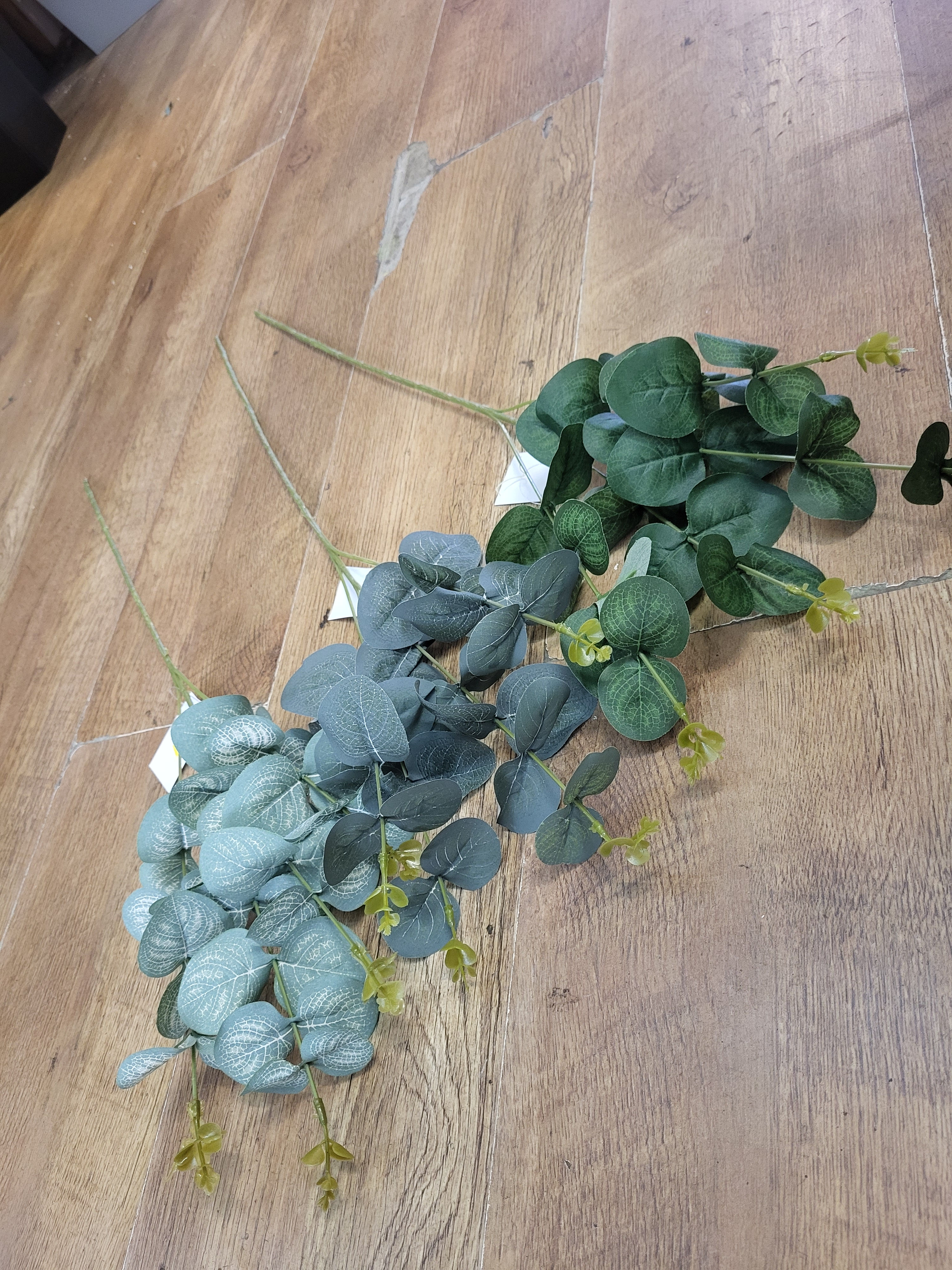 Long stem eucalyptus  - 3 shades available 
