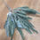 Thumbnail: Long stem Natural green sword fern
