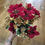 Thumbnail: Mini velvet poinsettias and metallic eucalyptus bunch - 2 colours available 