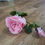 Thumbnail: Long stem pink ruffled rose spray 