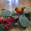 Thumbnail: Mixed winter foliage and berry branch with a Robin
