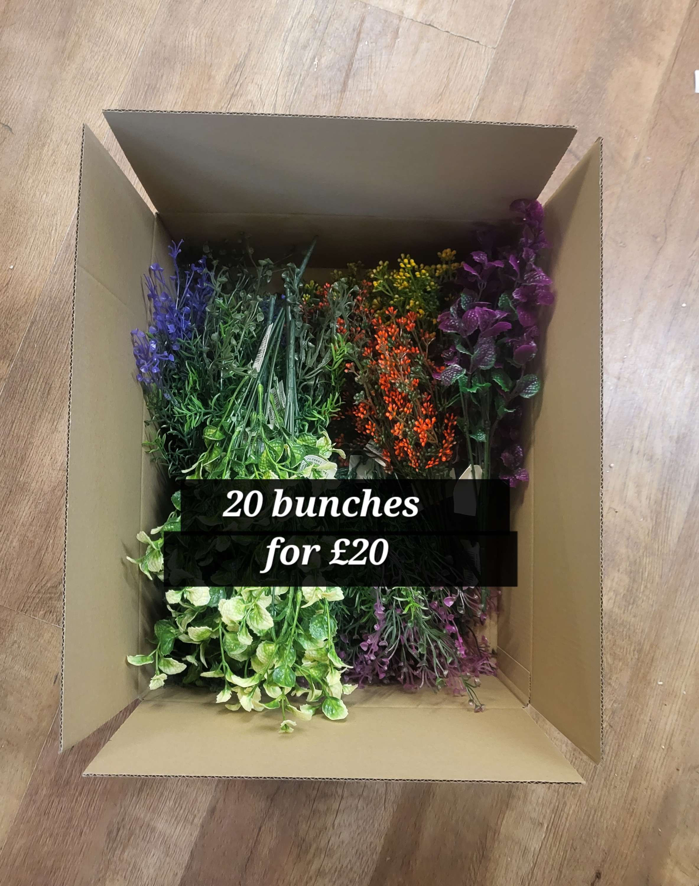 Box of 20 coloured greenery (10 styles, 2 of each) read description 