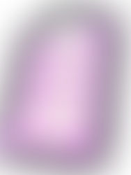 Solicitud XV Trofeo Atlántico de Sala 2026