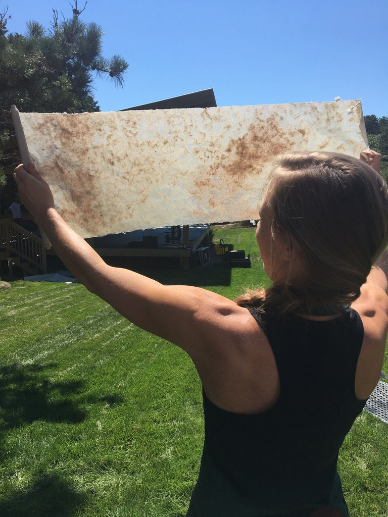 papermaking class - invasive, washashore and native plants 3.jpeg