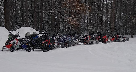 Sleds all lined up on a trail riding break.