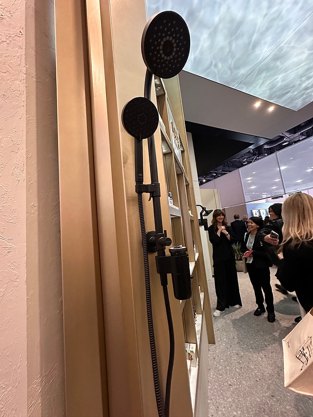 aromatherapy shower head