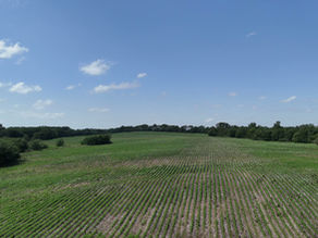 DeKalb County Missouri Row Crop Land