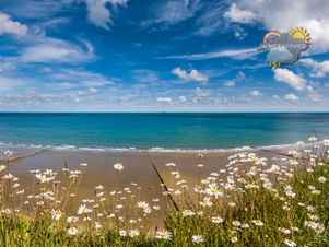 Morning update - Slowly increasing cloud today, rain then showers tomorrow