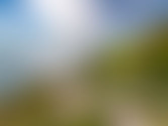 Morning update - Sun then cloud today, mostly bright tomorrow