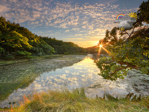 Morning update - Sun and cloud today, cloudy, breezy and damp tomorrow