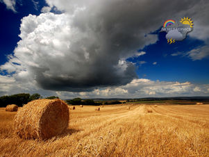 Morning update - Sun, cloud and the odd shower today, scattered showers tomorrow