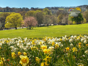 Morning update - Sunny spells developing today and again tomorrow but fog risk later and into tomorrow. 