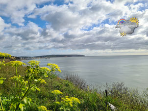 Morning update - Cloud and occasional sun today, becoming mostly cloudy tomorrow