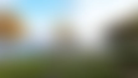 The Challenges of Building on Toronto Island