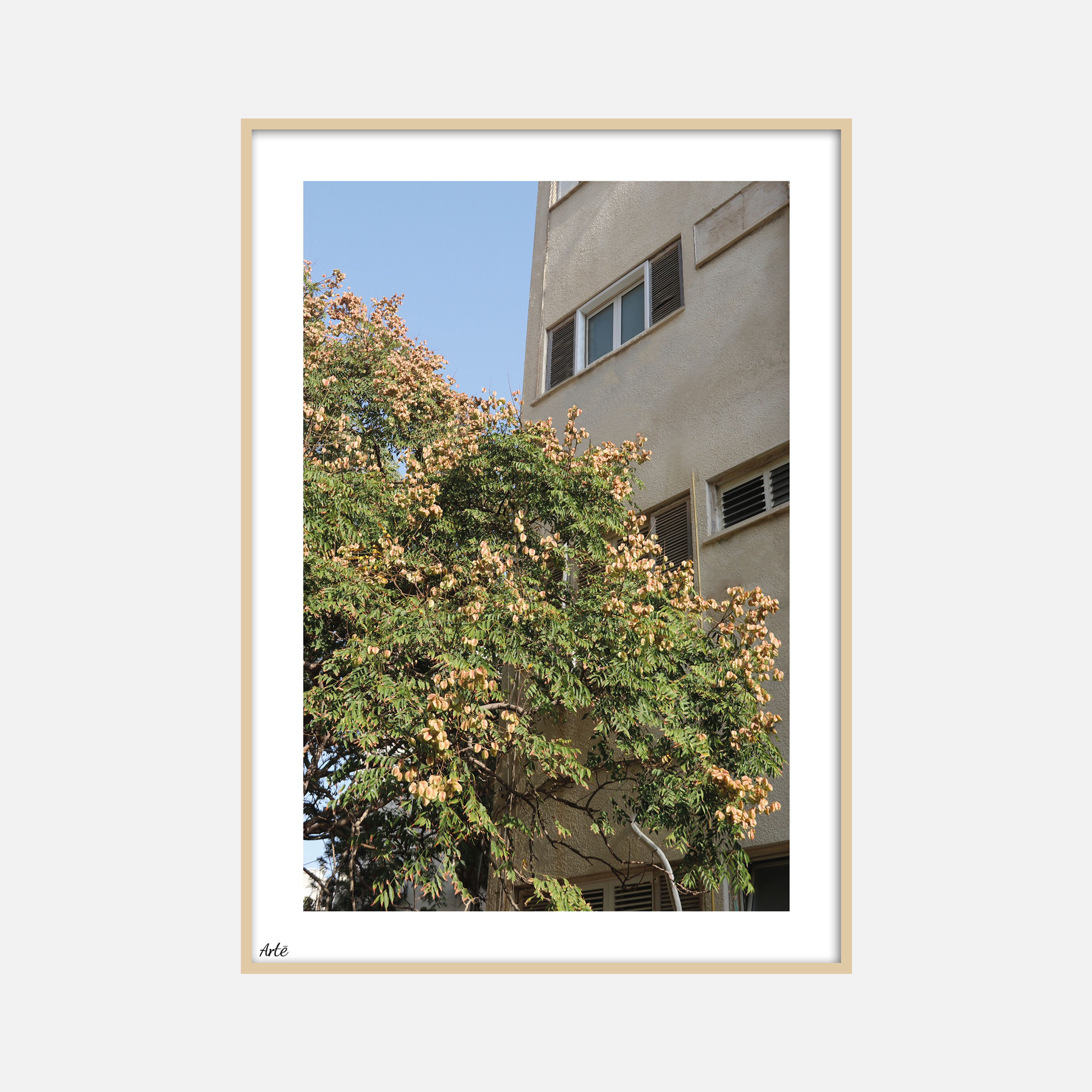 דגם טבע / 06
