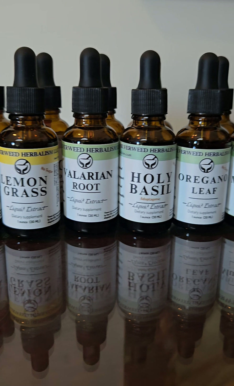 Thumbnail: Single Herb Tinctures (Herbal Infusions)