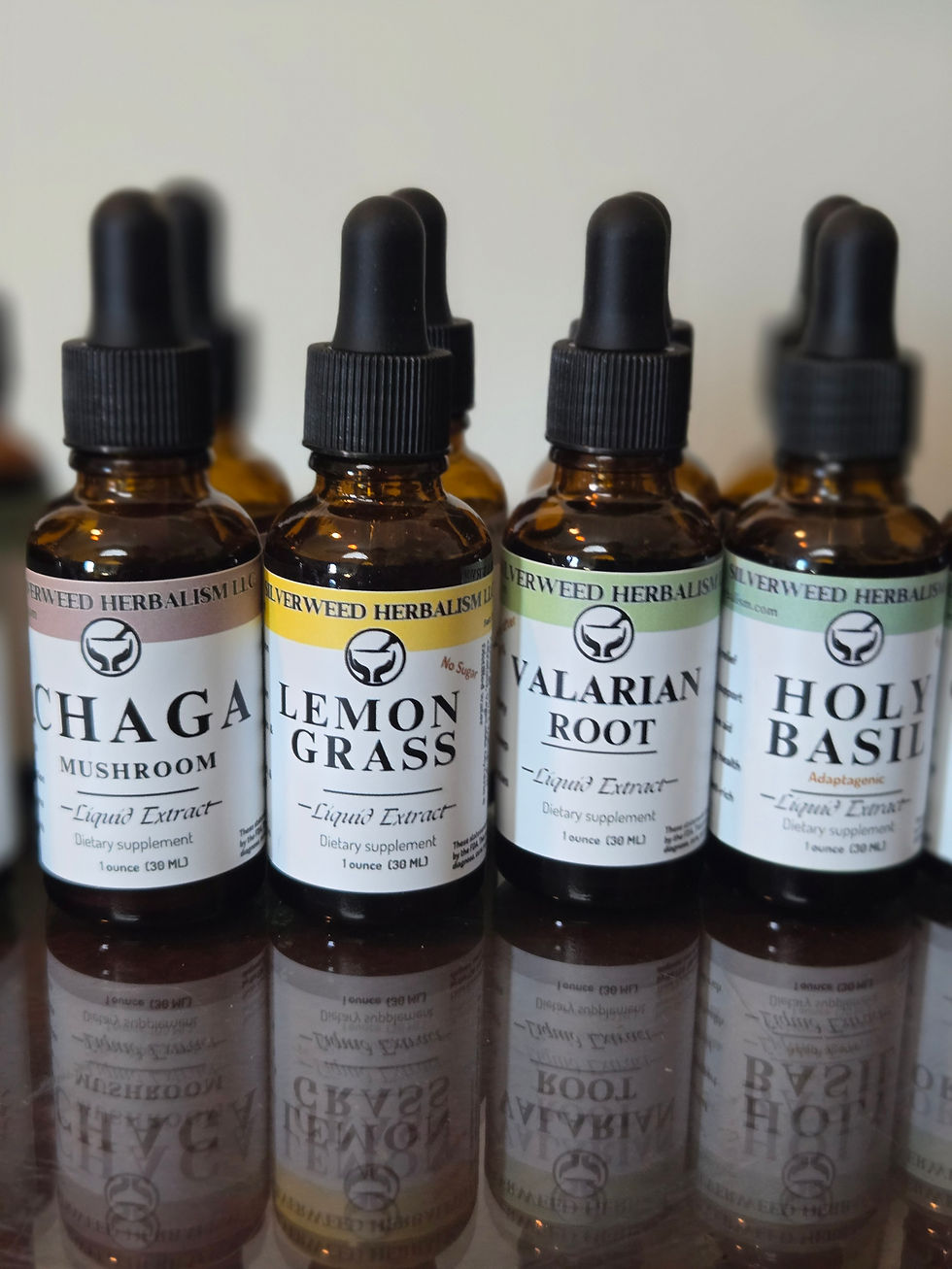 Thumbnail: Single Herb Tinctures (Herbal Infusions)