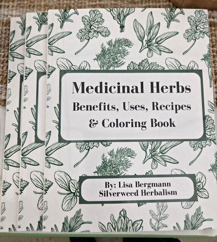 Medicinal Herbs, Benefits, Uses, Recipes, | Silverweed Herbalism