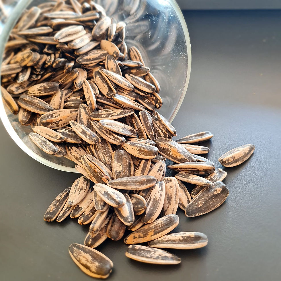 Sunflower Seeds Organic (without husk)