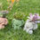 Thumbnail: Sonderella Planter