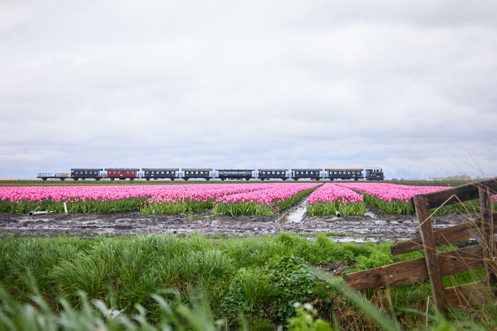 (NvK)_SHM_05-04-2024 13.jpg