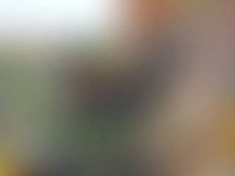 Inauguración instalaciones