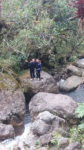 CAMINATA 7º