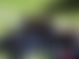 Caminando por el Colegio