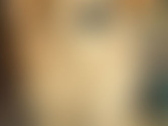 a cream colored long hair dachshund