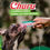 Miniatura: Churu Dog - Frango Com Atum Caixa Com 6 Pacotes