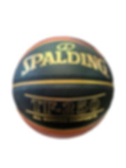 SPALDING TF-250