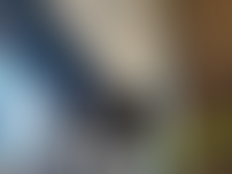 インターン日記③初めての内覧同行