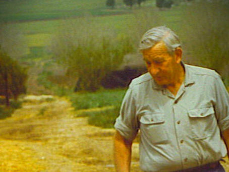 שְׁתִיקָה צוֹעֶקֶת