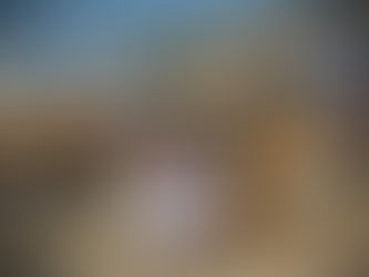 מה קרה לשדה החיטה של מושב תקומה?