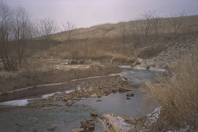 Brown winter landscape with bare trees, a grass covered slope and a curving rocky stream