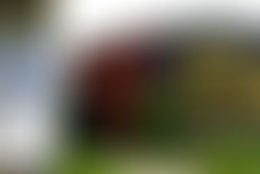 Personal Narrative: The Joseph Family