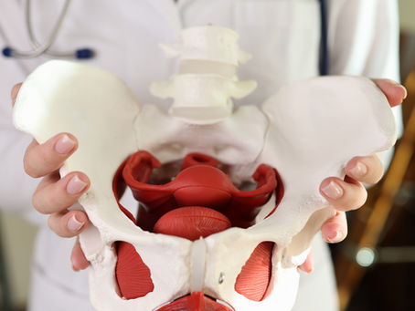 Is the Pelvic Floor the Forgotten Core?