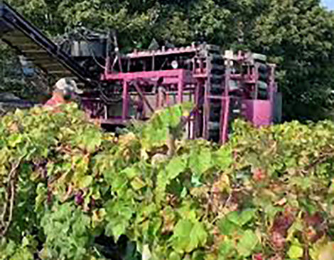 Mecca-Nizer Harvester