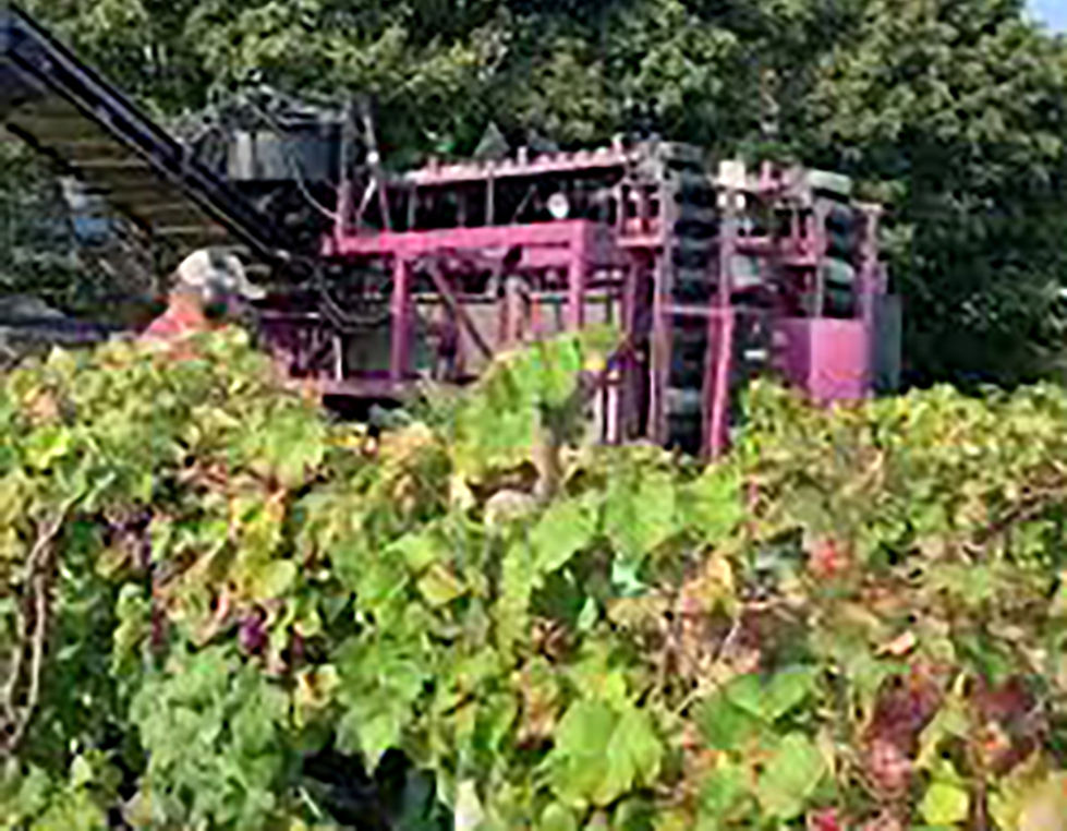 Mecca-Nizer Harvester